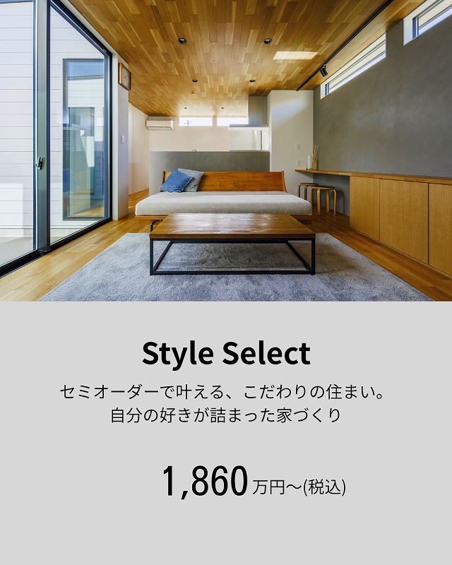 StyleSelect